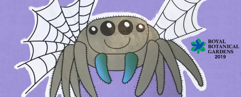 Spiders Alive! (At the RBG)