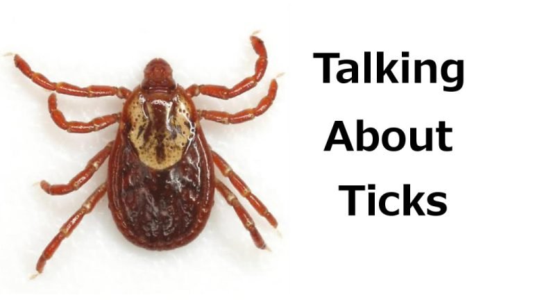 Dealing with Ticks