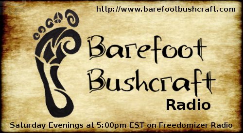 BF Bushcraft Radio Se1 E3