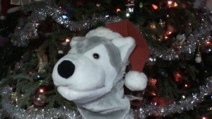 Happy Holidays from Wolfmaan