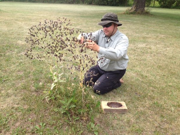 Creating a Burn Bowl