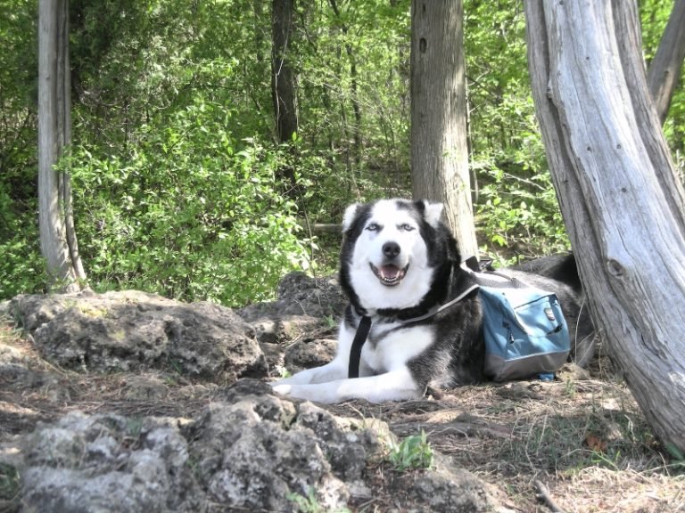 Mount Nemo Conservation Area